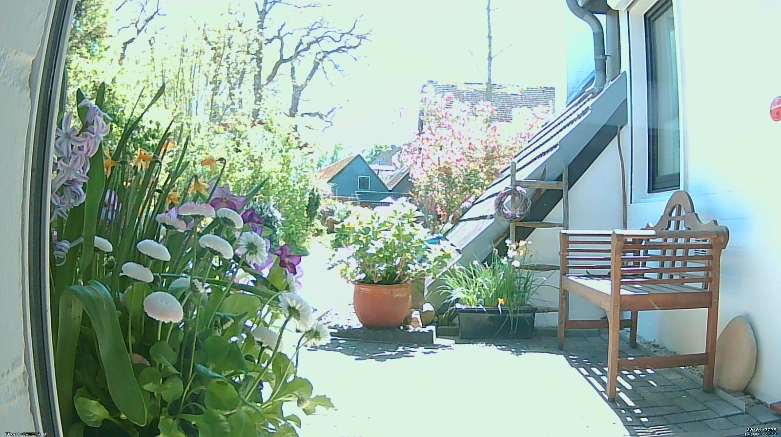 Stream z.Zt.nicht aktiv